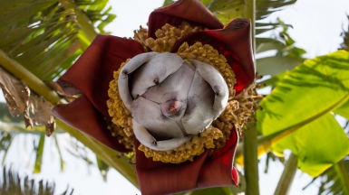 Фото: JonnyScholes on VisualHunt