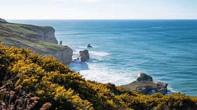 Фото: Tonia Kraakman, unsplash.com