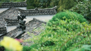 Фото: Lin Qiu Yi Wan, unsplash.com