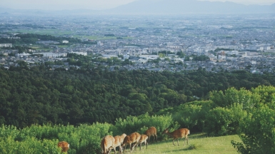 Фото: Bruce Tang on unsplash