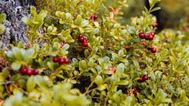 Фото из архива Клуба