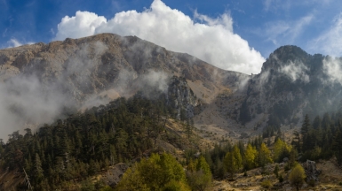 Фото: Andrei Krolik, unsplash.com