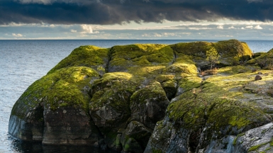 ФОТО: master unknown on unsplash