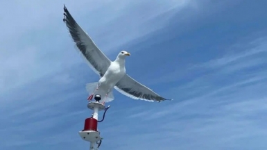 Фото из архива Клуба