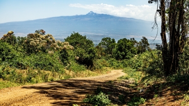 Фото: Ninara, visualhunt.com