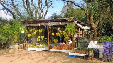 Фото: Giulia Lorenzon, unsplash.com