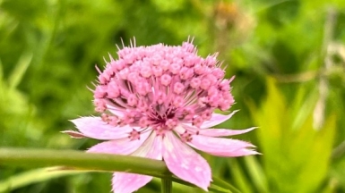 Фото нашей Странницы Натальи Петровой