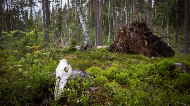 Фото нашего гида Михаила Верёвченко