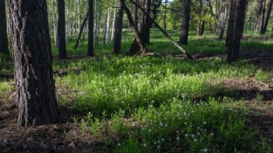Фото нашего гида Михаила Верёвченко