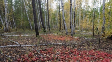 Фото нашего гида Михаила Верёвченко