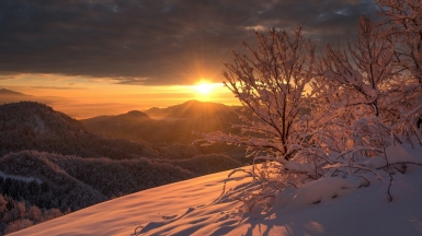 Фото: Ales Krivec, unsplas.com