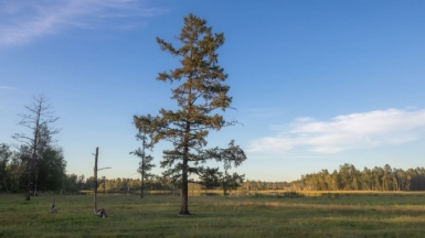 Фото нашего гида Михаила Верёвченко