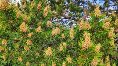 Фото нашего гида Евгении Скопиной