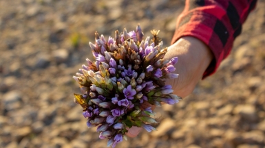 Photo by Anton Maksimov juvnsky on Unplash