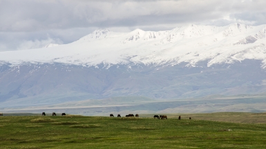 Долина Сусамыр. Фото: Анатолий Жидков