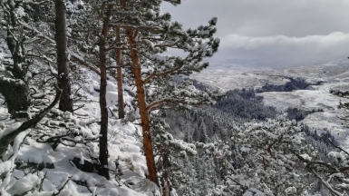 Фото нашего гида Елены Кузура