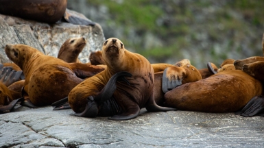 Фото из архива Клуба