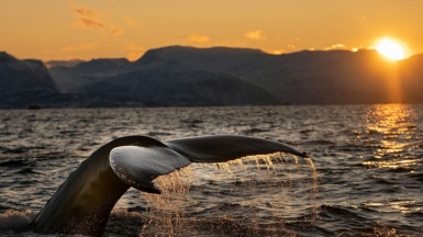 Фото Bart для unsplash.com