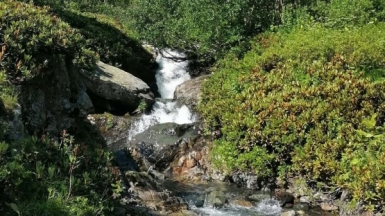 Фото из архива Клуба