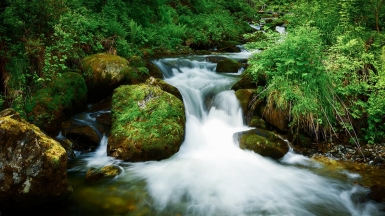 Фото нашей Странницы Светланы Соколовой