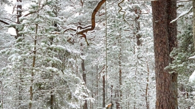 Фото: Karin Hiselius on Unsplash