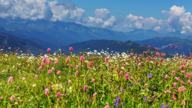 Фото: depositphotos.com