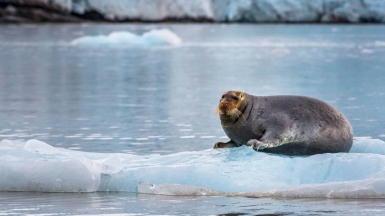 Фото из архива клуба