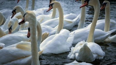 Фотo: nick fewings, unsplash