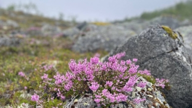 Фото нашего Странника Михаила Московских