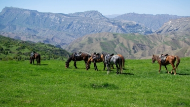 Фото: Vladislav Bychkov, unsplash.com