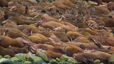 Фото из архива Клуба