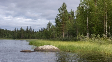 Фото Андрея Пашкевича