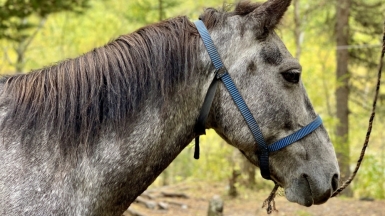 Фото наших Странников