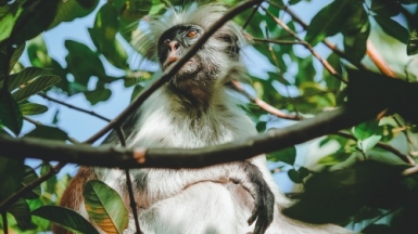 Фото: Elliot Paris, unsplash.com