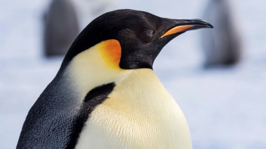 Фото из архива Клуба