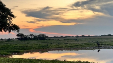 Водопой в нац.парке Этоша. Фото: наш гид Алексей Шорец
