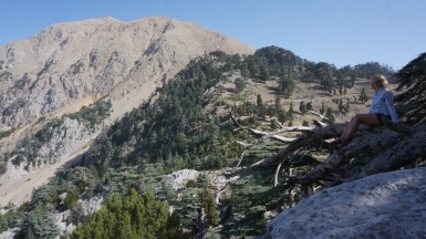 Фото Светланы Тягиной