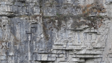 Фото нашей Странницы Веры Елькиной