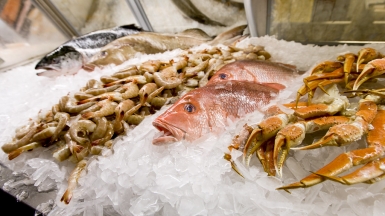 Фото: Florida Sea Grant on Visualhunt