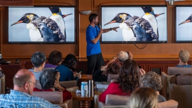 Фото: Sergey Dolya