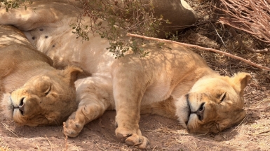 Фото: наш гид Алексей Шорец