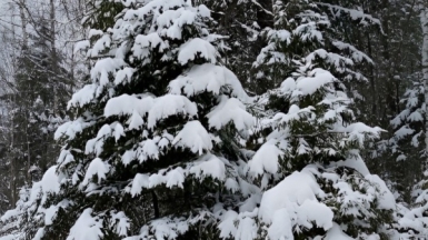 Фото нашего гида Александра Чудновского