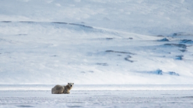 Фото: Сергея Доля