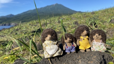 Фото нашей туристки Марии Курганской