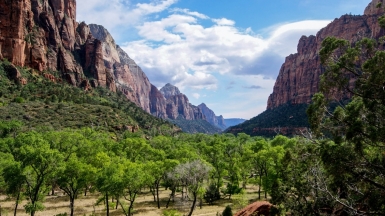 Фото: Zach Betten, unsplash.com