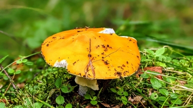 Фото наших Странников