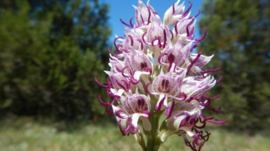 Фото нашего гида Галины Шелудько