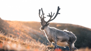 Фото из архива