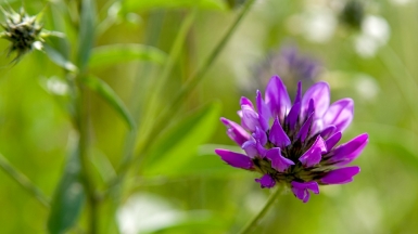 Фото: katunchik, visualhunt.com