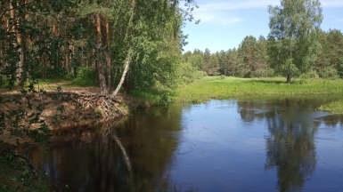 Фото нашего гида Ирины Пряничниковой